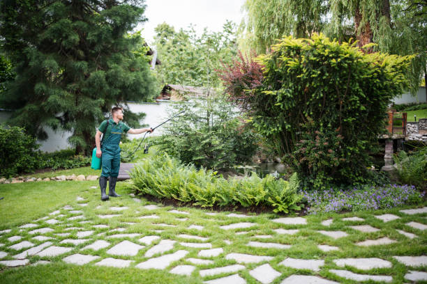 Best Ant Control Services  in India Hook, SC